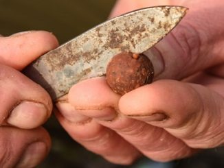 How To Catch Carp On A Short Session