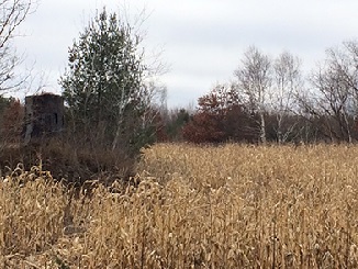 NATURE BLINDS SHEDS - KEEP THE NATURE IN YOUR SCENIC VIEW 2