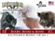New Buck, Boars & Bears Premium 12-GA Rounds