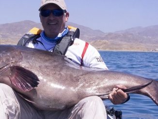 Potential World Record Broomtail