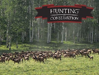 Rocky Mountain Elk Foundation 1