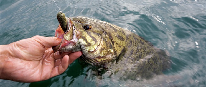 The 5 Fishing Lures Smallmouth Can't Resist