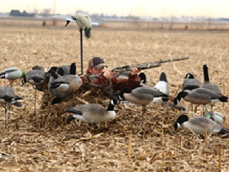 The Deluxe Man Cave Layout Blind For Waterfowl Hunters