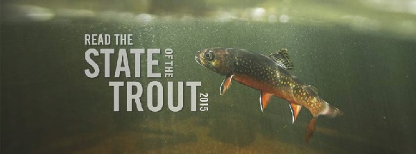 Trout Unlimited - Bringing Back Lees Ferry 1
