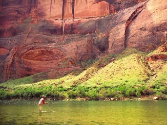 Trout Unlimited - Bringing Back Lees Ferry