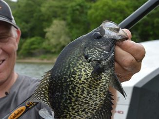 BASS TACTICS FOR WALLEYES AND CRAPPIES 1