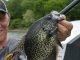 BASS TACTICS FOR WALLEYES AND CRAPPIES 1