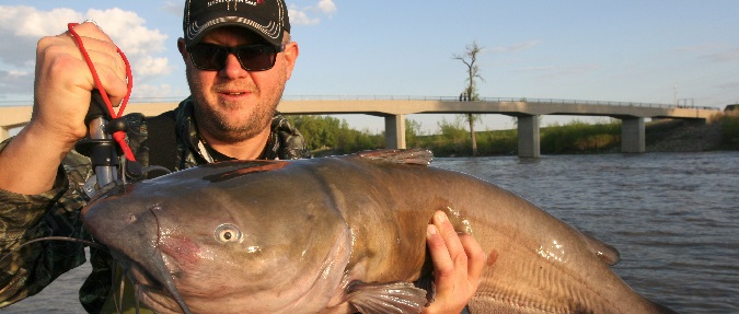 Build a Better Catfish Trap