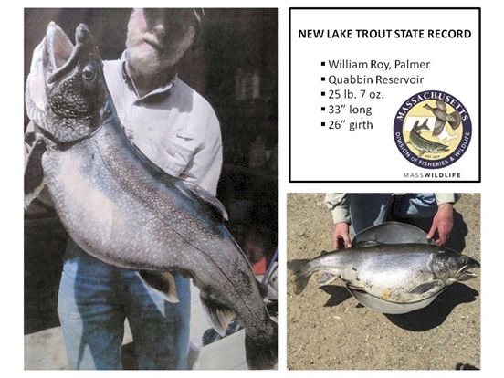 Massachusetts' Quabbin Reservoir Produces Record Trout