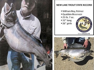 Massachusetts' Quabbin Reservoir Produces Record Trout