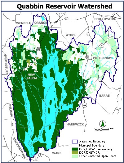 Massachusetts' Quabbin Reservoir Produces Record Trout