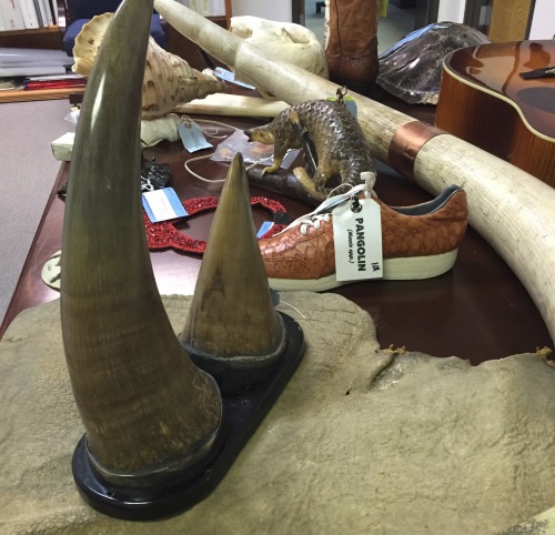 Purchase Carefully to Avoid Supporting Wildlife Trafficking