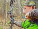 QDMA - Stay in Your Comfort Zone