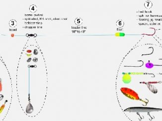 Slip-Weight Rigs