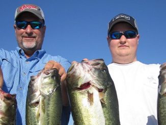 Variety of Baits for Summertime Fishing