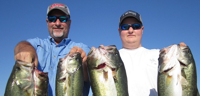 Variety of Baits for Summertime Fishing