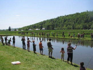 Angling tips to help trout and salmon beat the heat