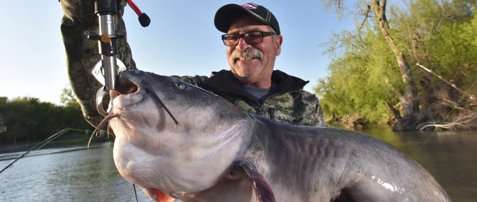 Catch & Release Catfish