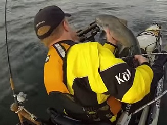 Cracking Action for Columbia River Chinook Salmon