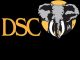 DSC Logo 326