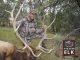 Elk Country Conservation Month Comes to Bass Pro Shops