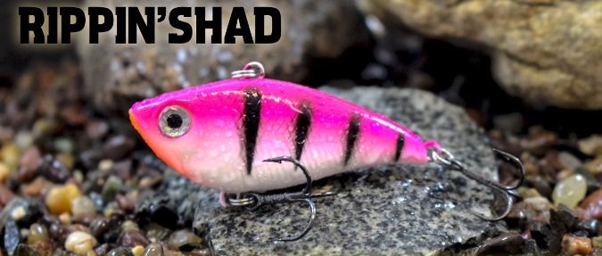 Enhanced Color Palette For Renowned Rippen' Shad 1