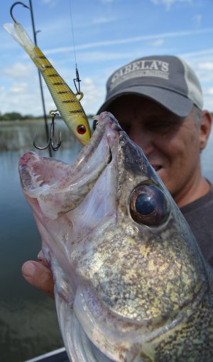 Ice Fishing Bait For Open Water Walleyes 2