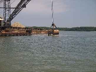 Maryland oysters thriving in sanctuaries