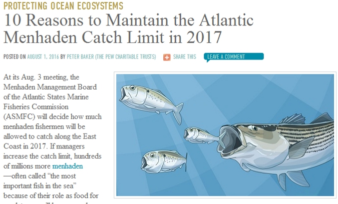 Modernize management of Atlantic menhaden