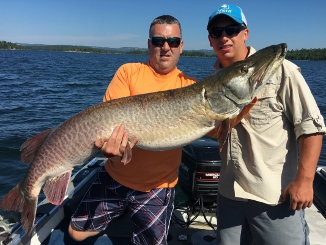 Monster Muskie! Was It a World Record