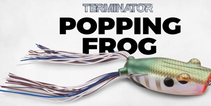 NEW TERMINATOR POPPING FROG ROCKS