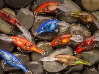 Shad Raps, DT Crankbaits In Retreating Craw Colors