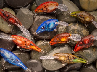 Shad Raps, DT Crankbaits In Retreating Craw Colors