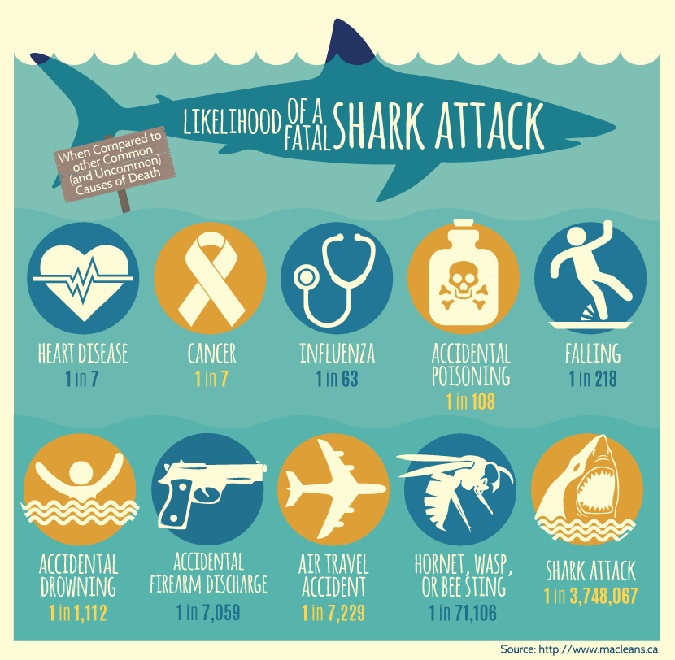 How to Avoid a Shark Attack  2
