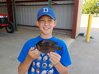 New Spotted Sunfish State Record Established and Set