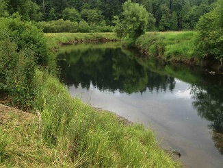 New Washington wetland bank advances fish habitat restoration