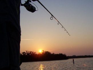 fishing, tips, techniques, low light, morning