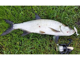 Storms create unique fishing opportunities for hardy anglers