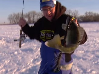 Videos Of the Week - Clam Spoon and Denali Rods