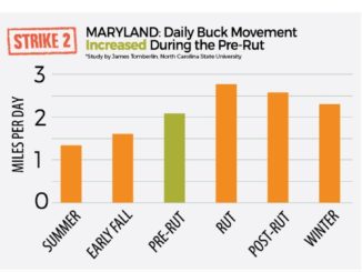 3 Studies, 3 Strikes for the October Lull