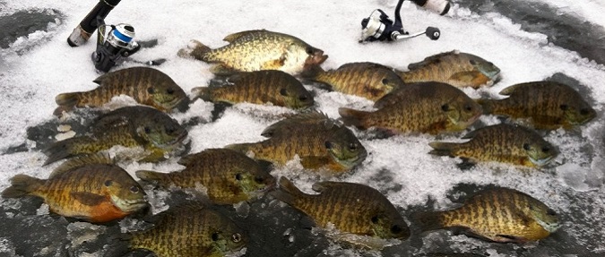 First Ice Bluegill Bash 