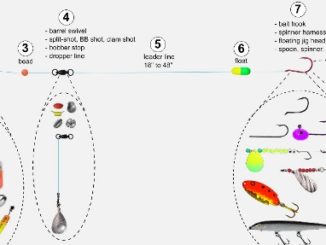 Fishing Tips - How to Set Up Slip-Weight Rigs