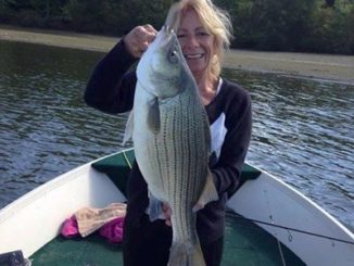 NW PA Fishing Report for October 12, 2016