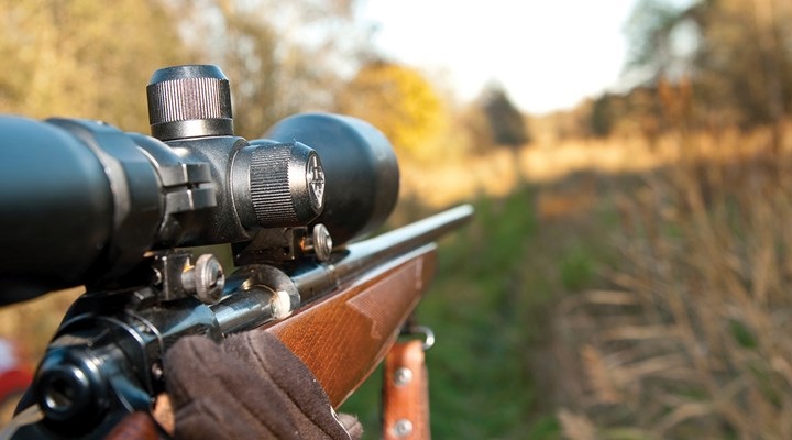 New Jersey-Legislation Takes Aim at Black Bear Hunting Season