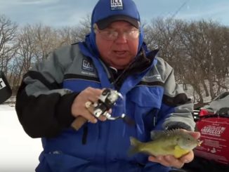 From Clam Corp/ICE TEAM: Pro Panfish Tactics
