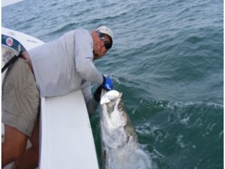 The Magnetism of Charlotte Harbor Florida