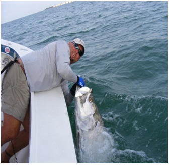 The Magnetism of Charlotte Harbor Florida