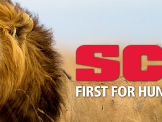 USFWS Decision on Importation of Lion Trophies from South Africa