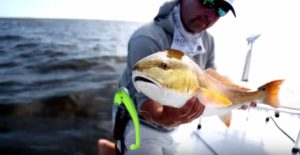 Saltwater Fishing News