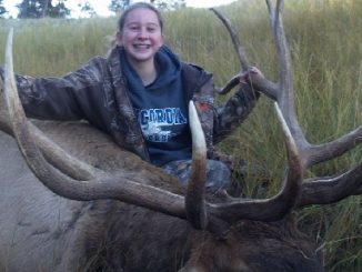 14-year-old's monster elk could be Nebraska state record